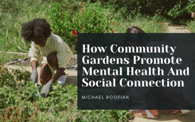 How Community Gardens Promote Mental Health And Social Connection