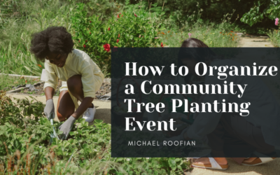 How to Organize a Community Tree Planting Event